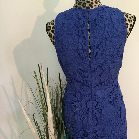 J. Crew lace dress. - Picture 3 of 6